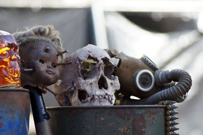 Close-up of human skull