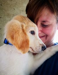 Close-up portrait of cute dog