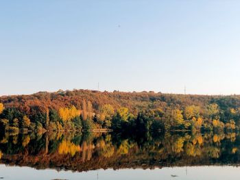 Scenic view of lake by trees against clear sky