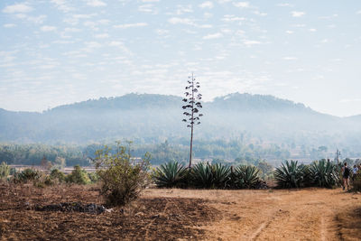 Wind turbines on land against sky