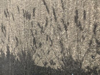 High angle view of sand on field