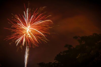 Low angle view of fireworks against sky at night