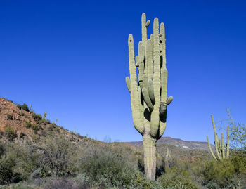 Low angle view of statue against clear blue sky