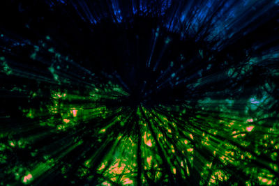 Full frame shot of illuminated trees