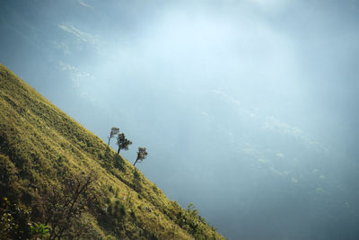 Scenic view of tree mountains against sky