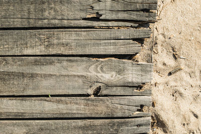 High angle view of wood