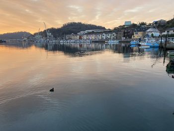 View of birds at sunset
