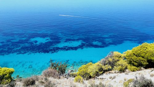 High angle view of sea shore