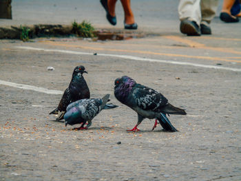 Full length of man perching on hand