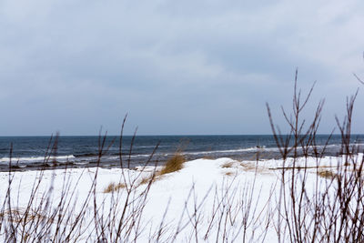 Scenic view of sea against sky during winter