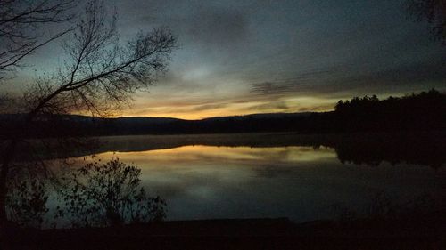 Reflection of bare trees in water