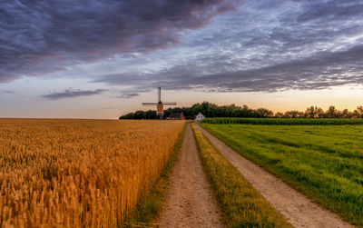 Dirt road amidst agricultural field against cloudy sky