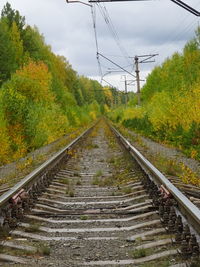 Railroad tracks by trees against sky