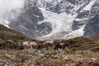 Scenic view of snowcapped mountain