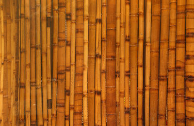 Full frame shot of bamboos