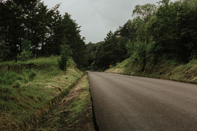 Empty road amidst trees in forest against sky