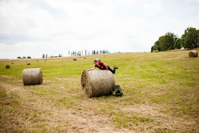 View of sheep on field