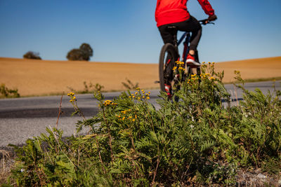 Low section of man riding bicycle on road