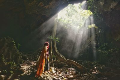 Scenic view of waterfall in forest