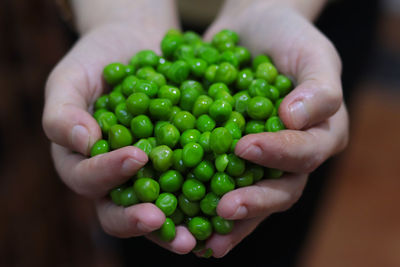 Close-up of hand holding berries