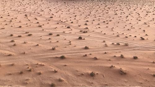 High angle view of tire tracks on sand