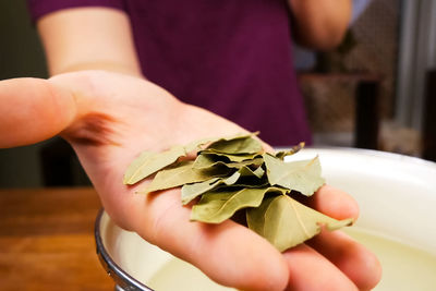 Close-up of hand holding leaves