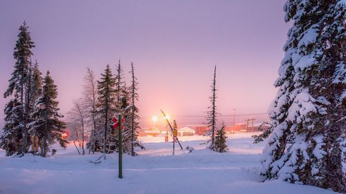 Trees on snow covered field against sky during sunset