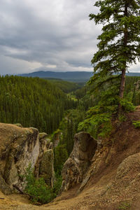 Scenic view of land against sky