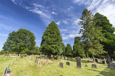 Trees on cemetery against sky