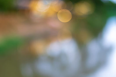 Defocused image of plants growing on field
