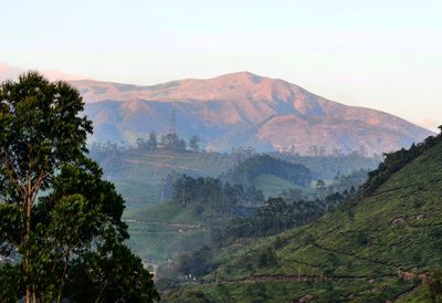 Scenic view of mountains