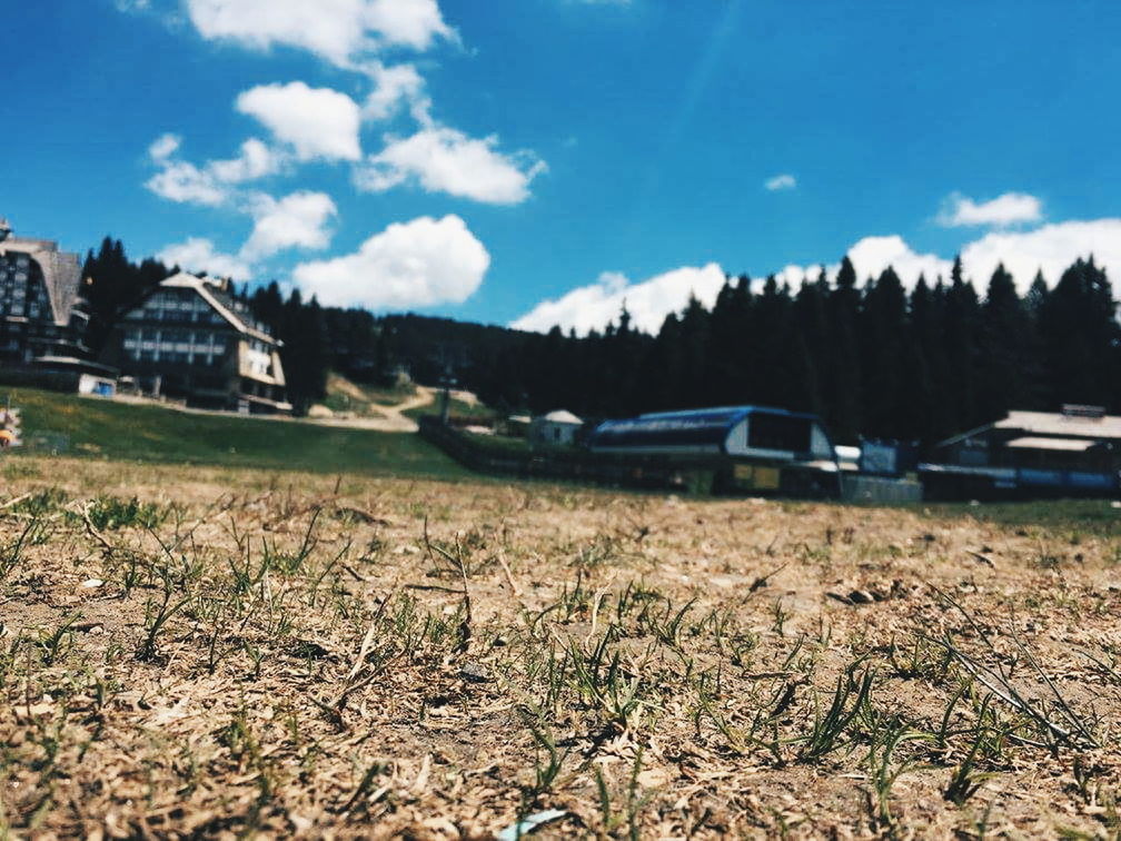 HOUSES BY FIELD AGAINST SKY