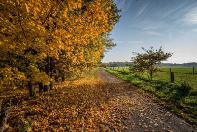 Dirt road passing through field