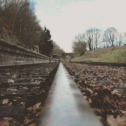 Surface level of railroad tracks