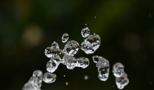 Close up of water drops on leaf