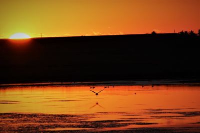 Silhouette birds on shore against romantic sky at sunset