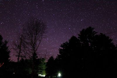 Low angle view of silhouette trees against sky at night