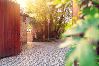 Street amidst houses and trees in city