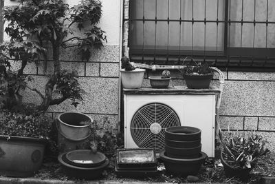 Potted plants in front of wall