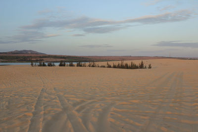 Scenic view of desert against sky