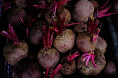 Full frame shot of vegetables for sale in market