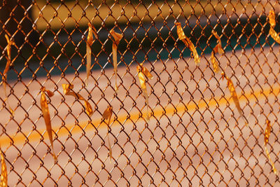 A rusty section of a rusty chain link fence with ribbons on it