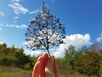 Cropped hand of person holding dry leaf against sky