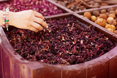 Large selection of different spices on the market, close-up