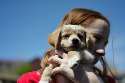 Close-up of hand holding small dog against sky