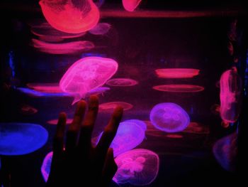 Close-up of human hand in aquarium