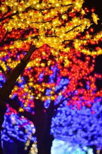 Low angle view of illuminated christmas tree