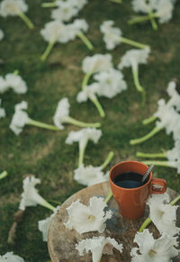 Close-up of tea cup