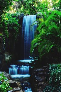 Waterfall in forest