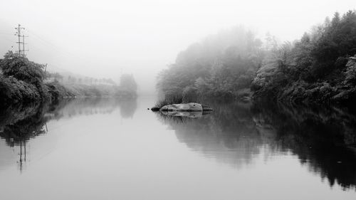 Reflection of trees in water